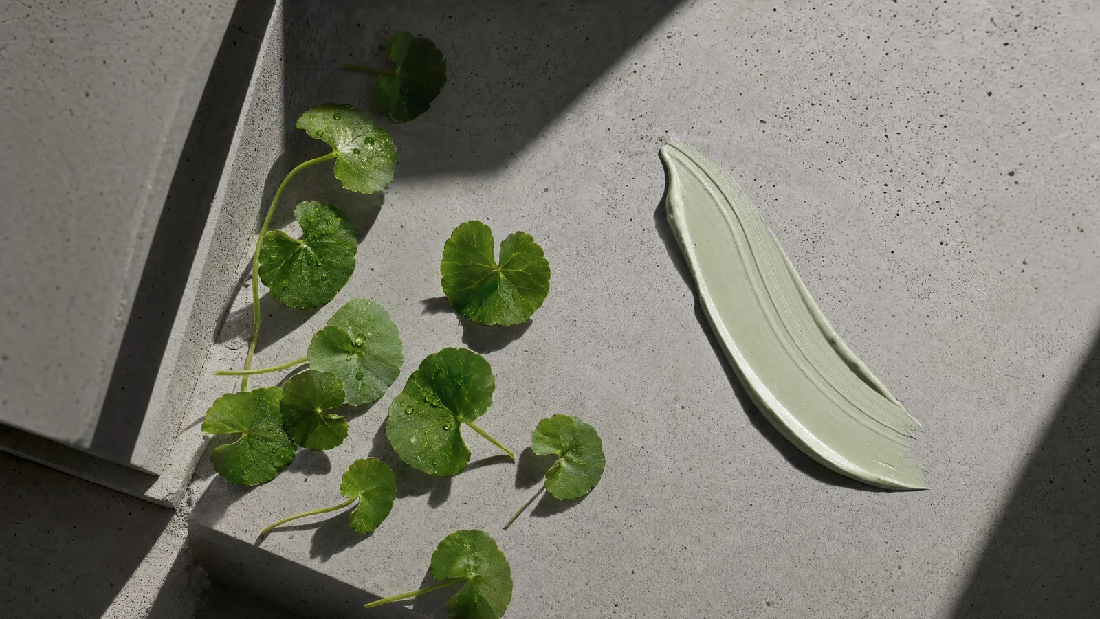 Fresh Centella asiatica leaves and a smear of pale green cica cream on a matte concrete slab